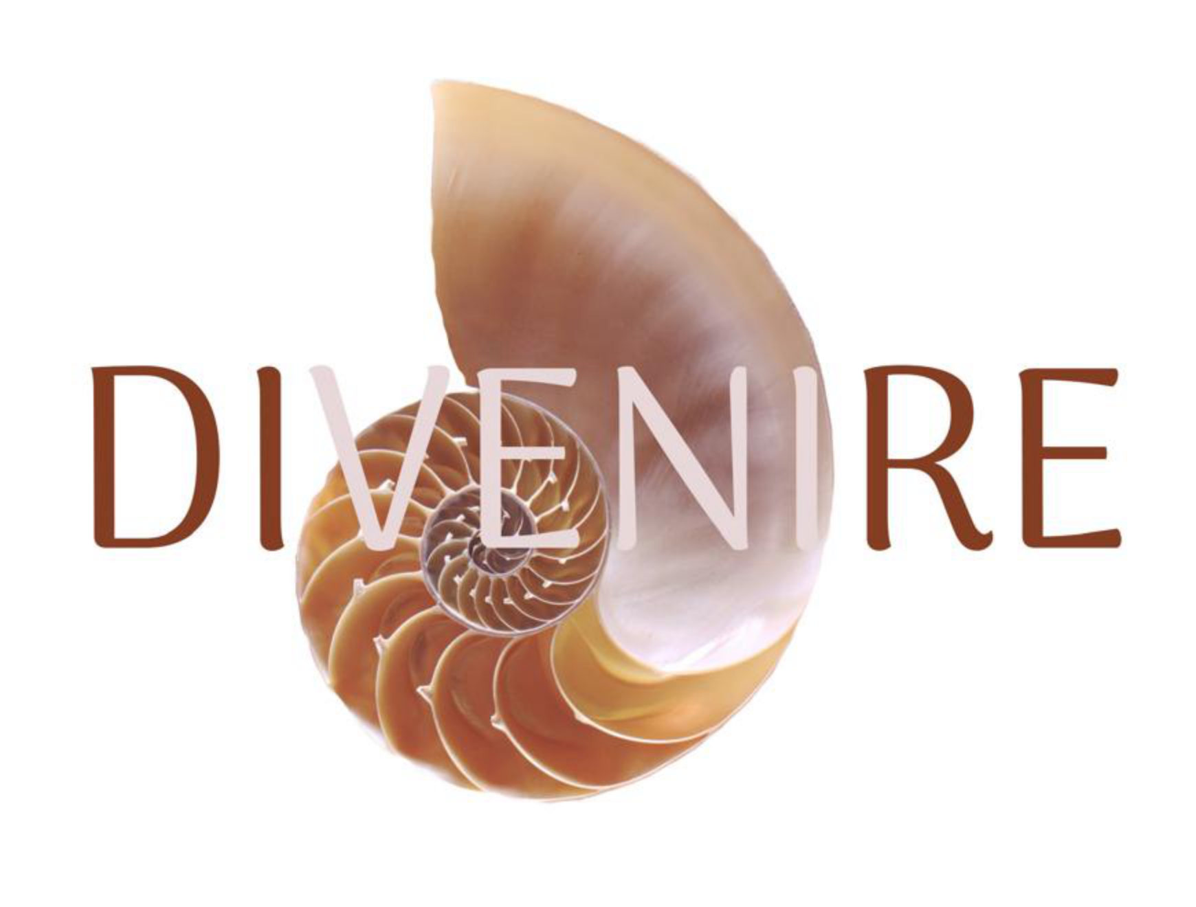 Logo Divenire: la scritta DIVENIRE con una conchiglia nautilus